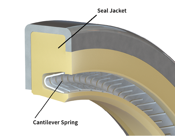 Cased Spring Seals