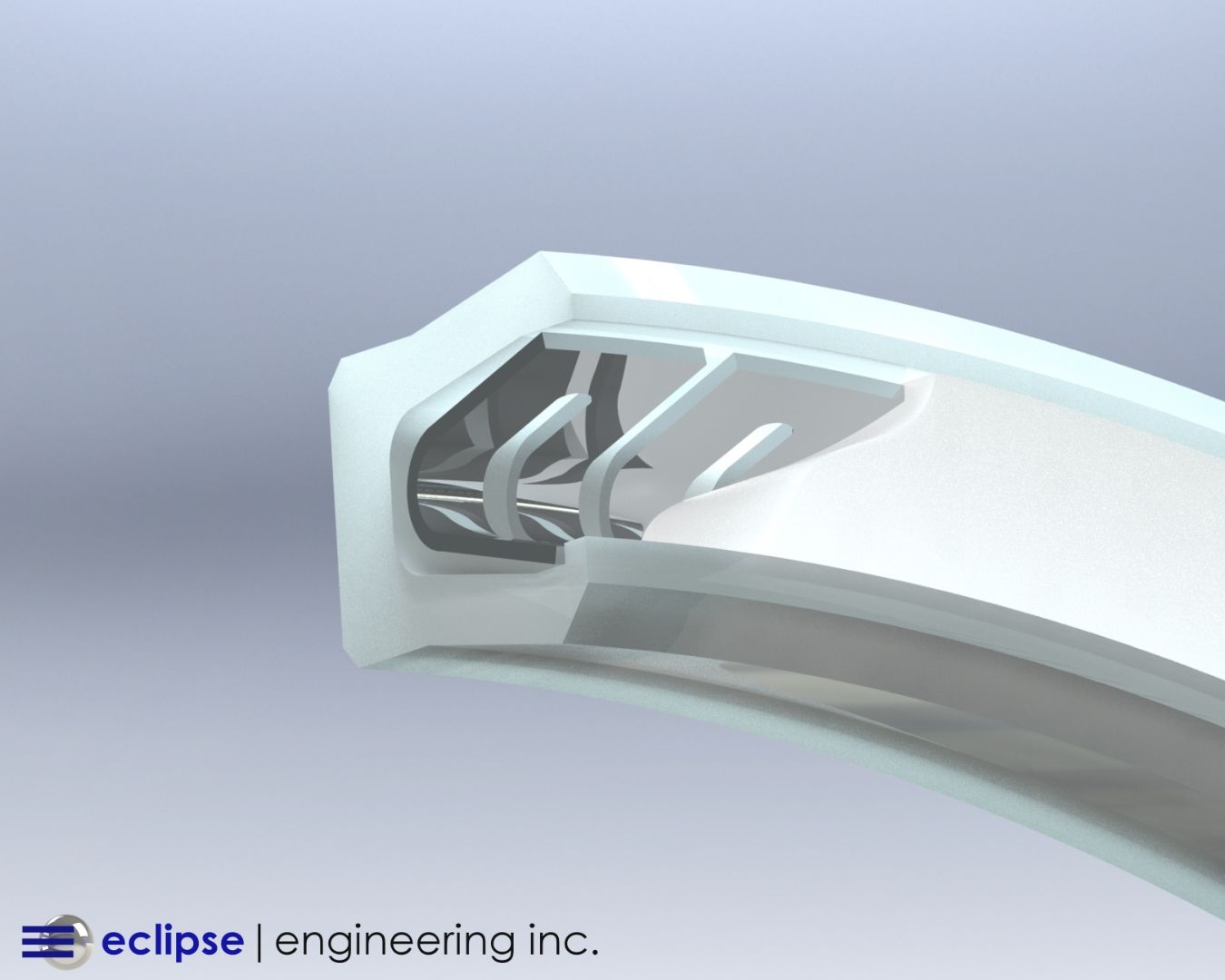 CIP Spring Seal Silicone