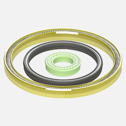 Spring Energized Seals