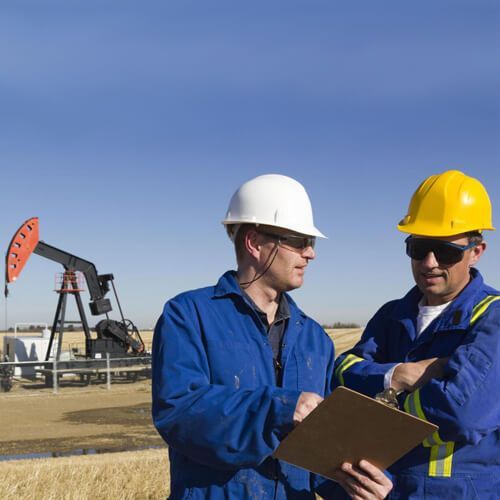 Oil And Gas Seals