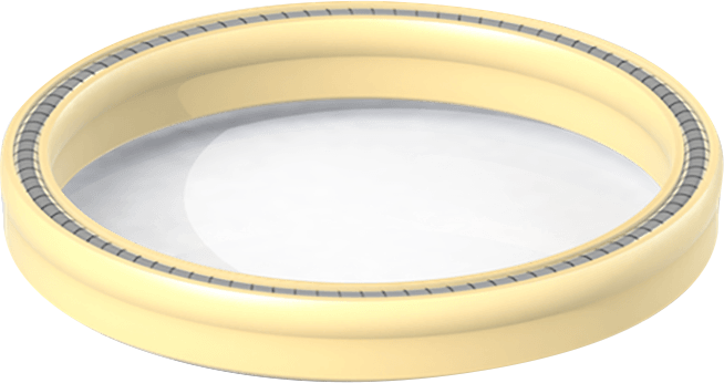 Helical Spring Seal