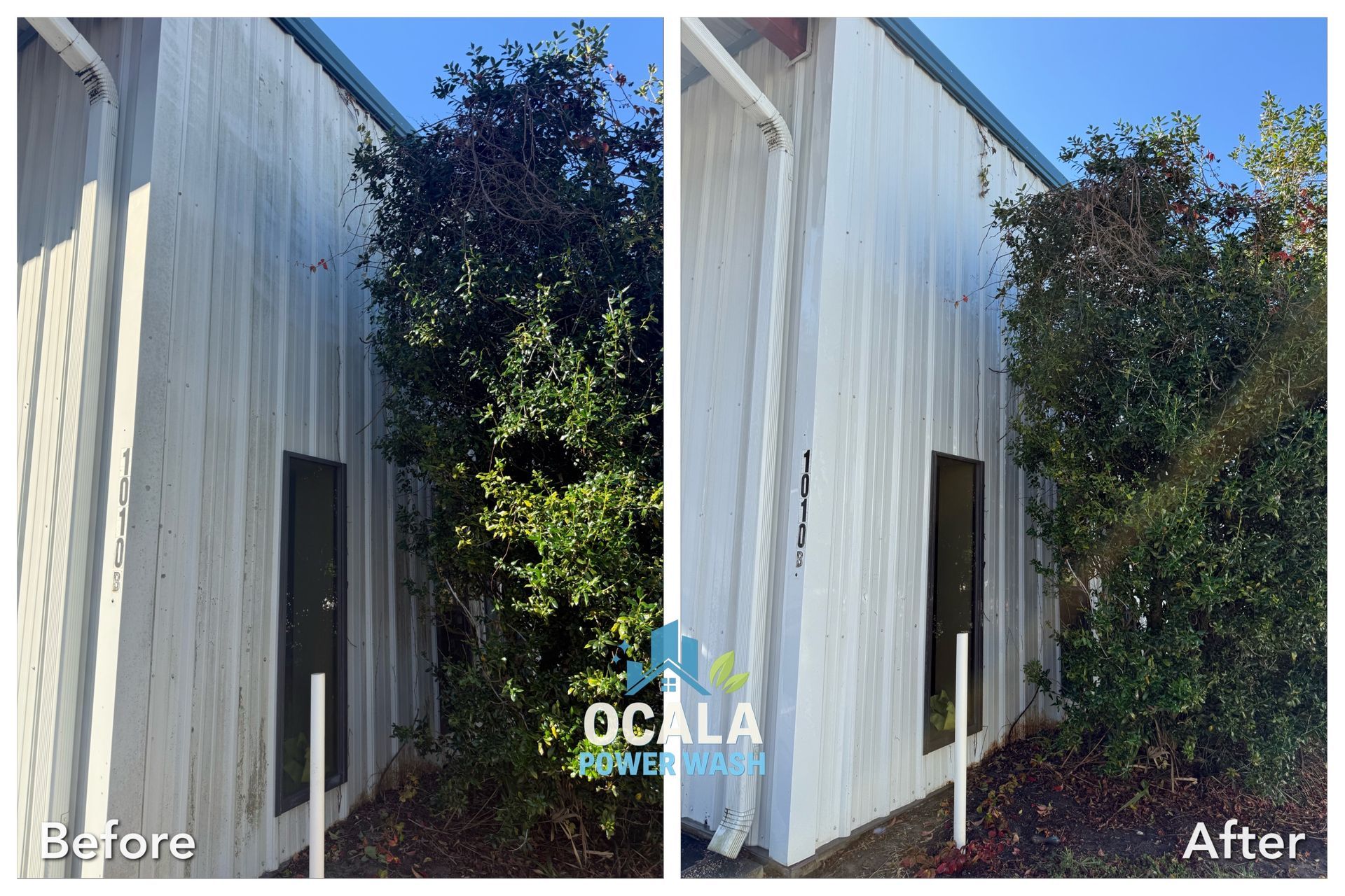 Before-and-after view of a building wall with trimmed overgrown trees beside it.