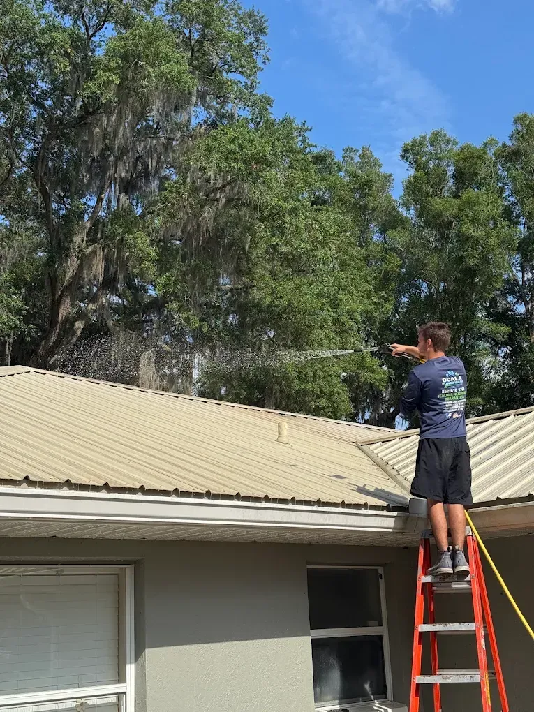 Person on ladder inspecting a rooftop near trees on a sunny day