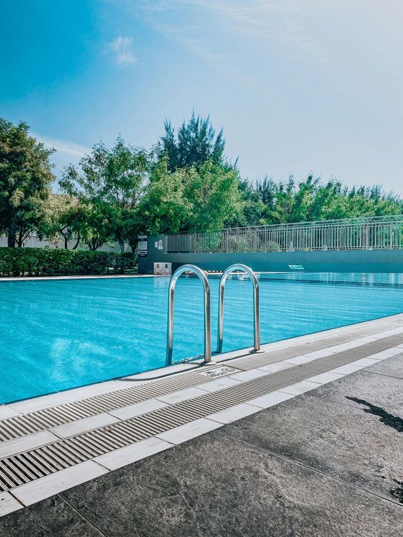 A bright blue outdoor swimming pool with a metal ladder at the edge, surrounded by green trees under a clear sky.