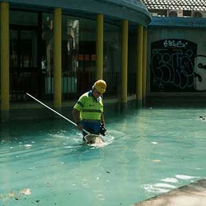Pool Inspections