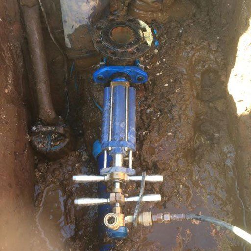 hydrant 6