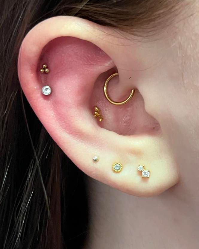 Ear with multiple gold piercings.
