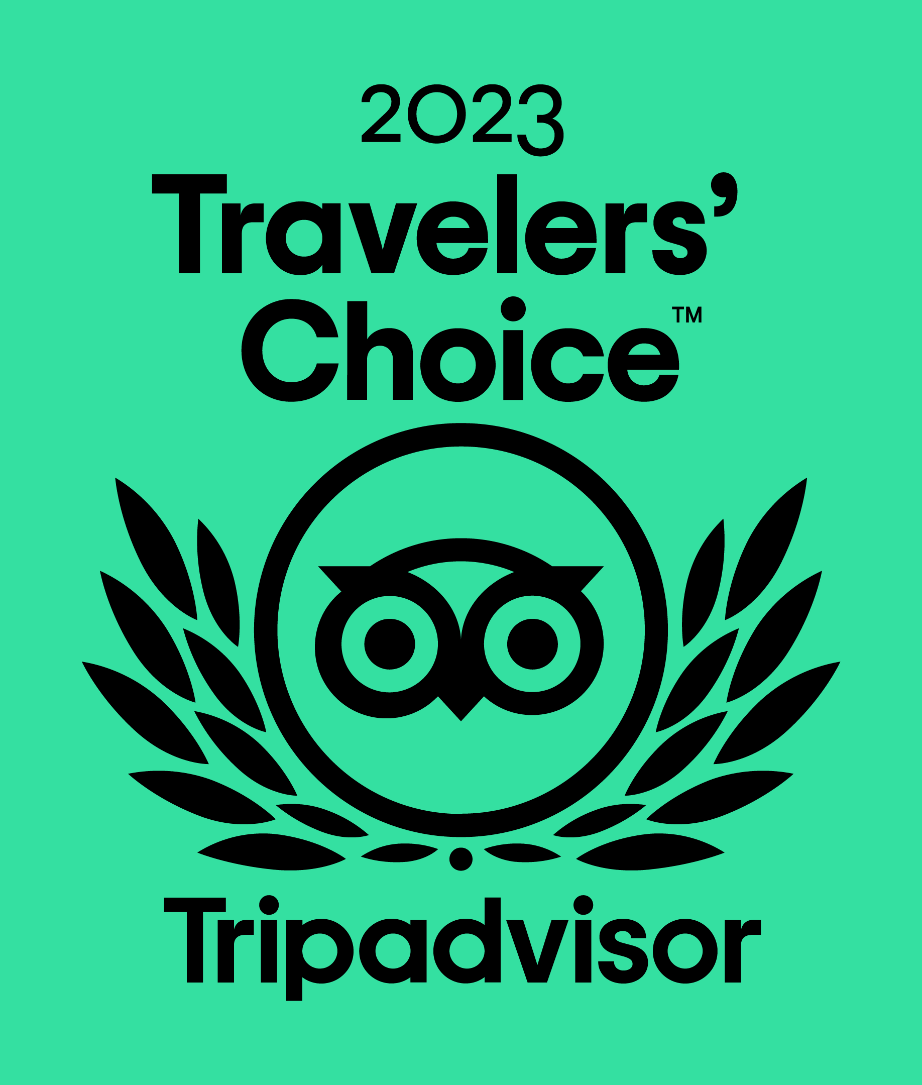 Travelers choice tripadvisor logo on a green background