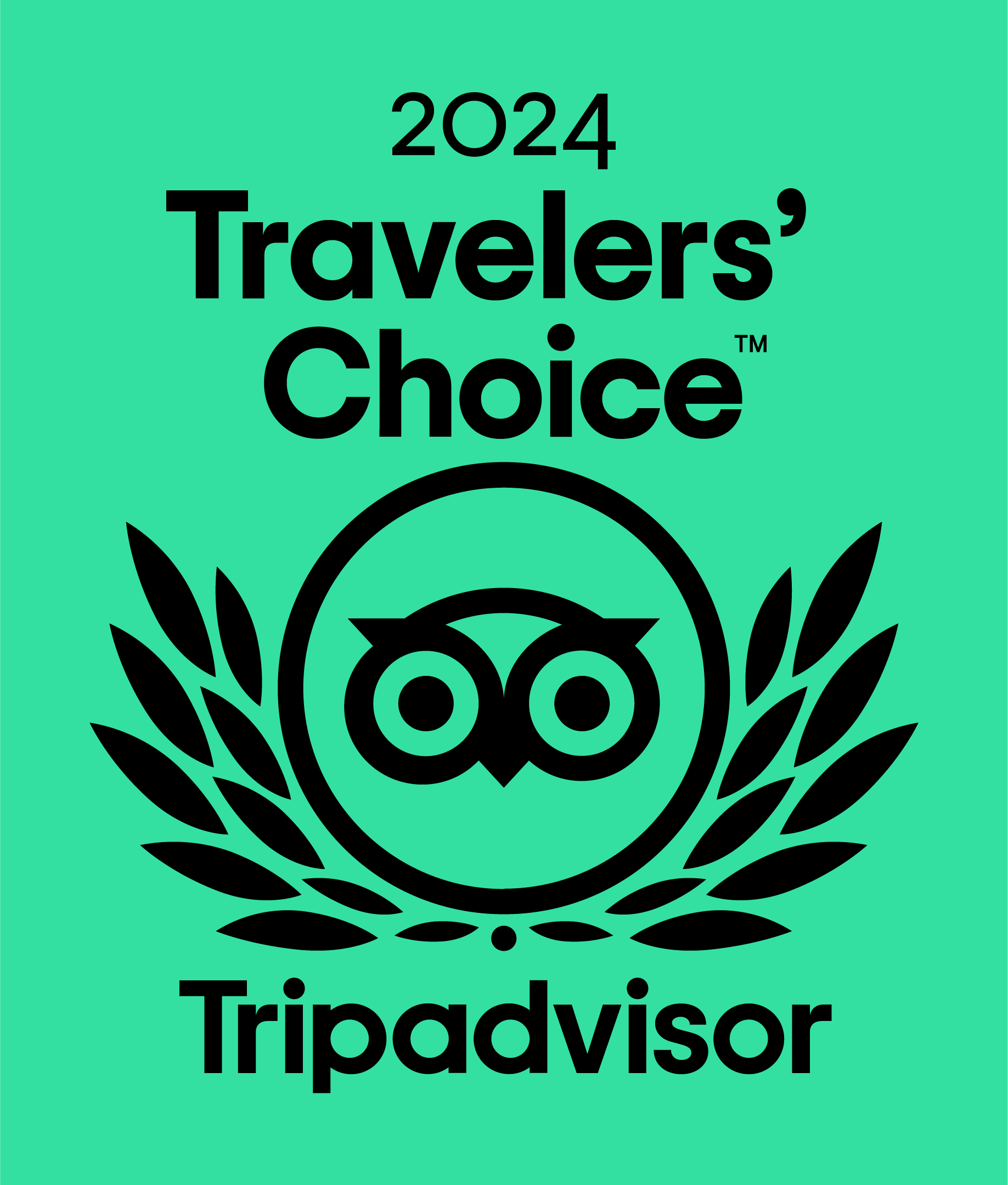 A travelers choice tripadvisor logo on a green background