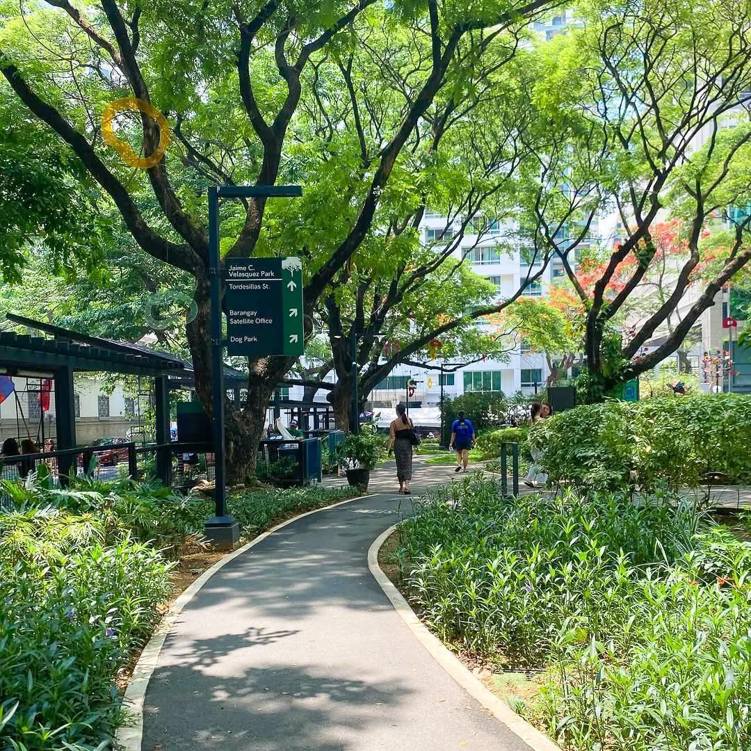 Curved park path under lush green trees with shrubs and a sign, in bright daylight