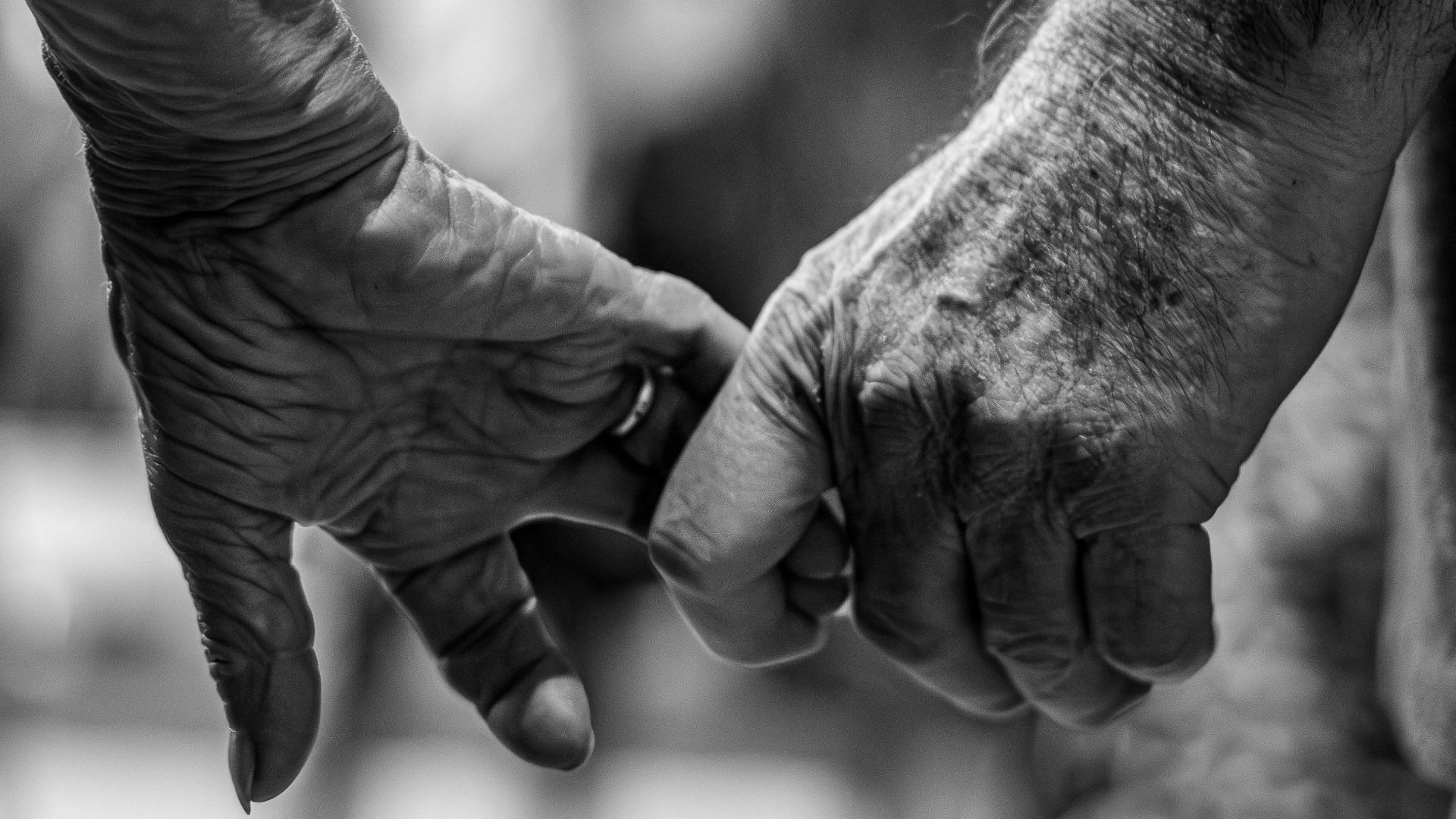 A black and white image of seniors holding hands.