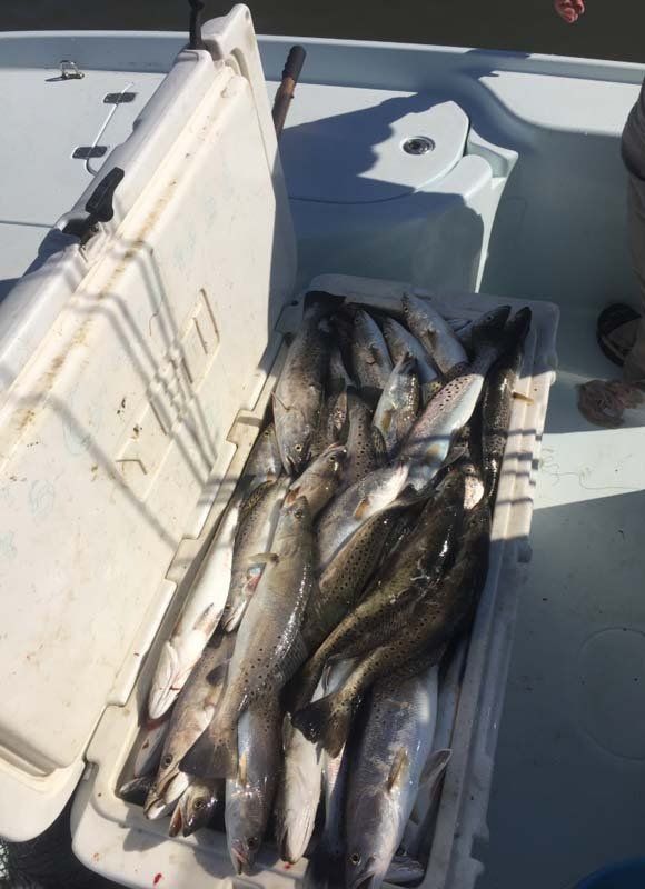A cooler full of fish is on a boat