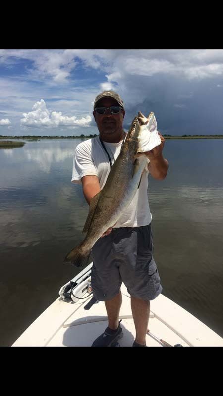 A man is standing on a boat holding a large fish.