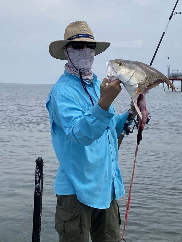 A man wearing a blue shirt and a hat is holding a fish