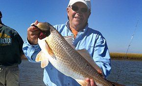 A man is holding a large redfish in his hands.