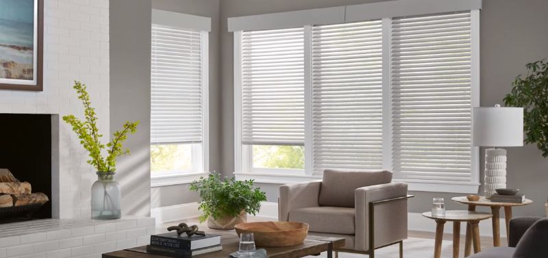 A living room with windows with dual shades for balancing natural light. Love is Blinds