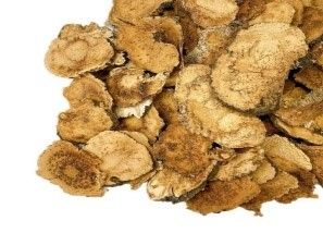 MACA