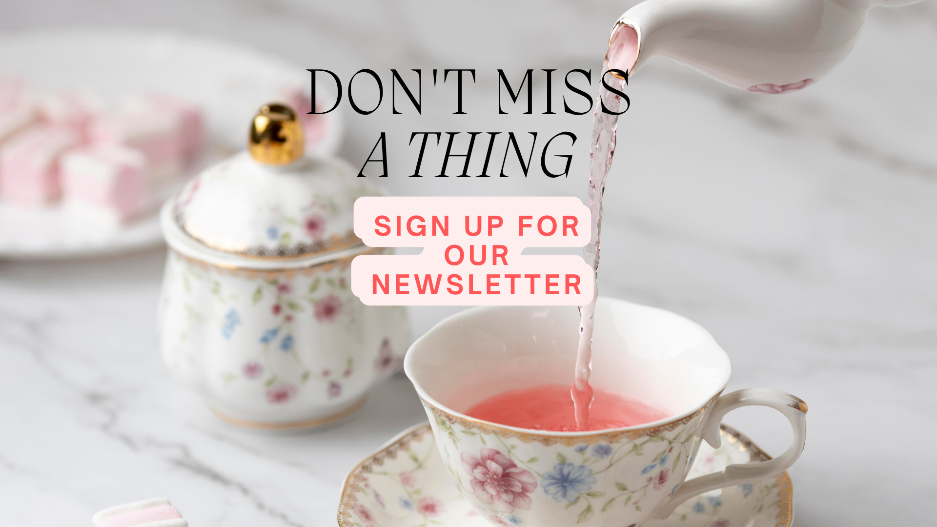 Newsletter Sign Up