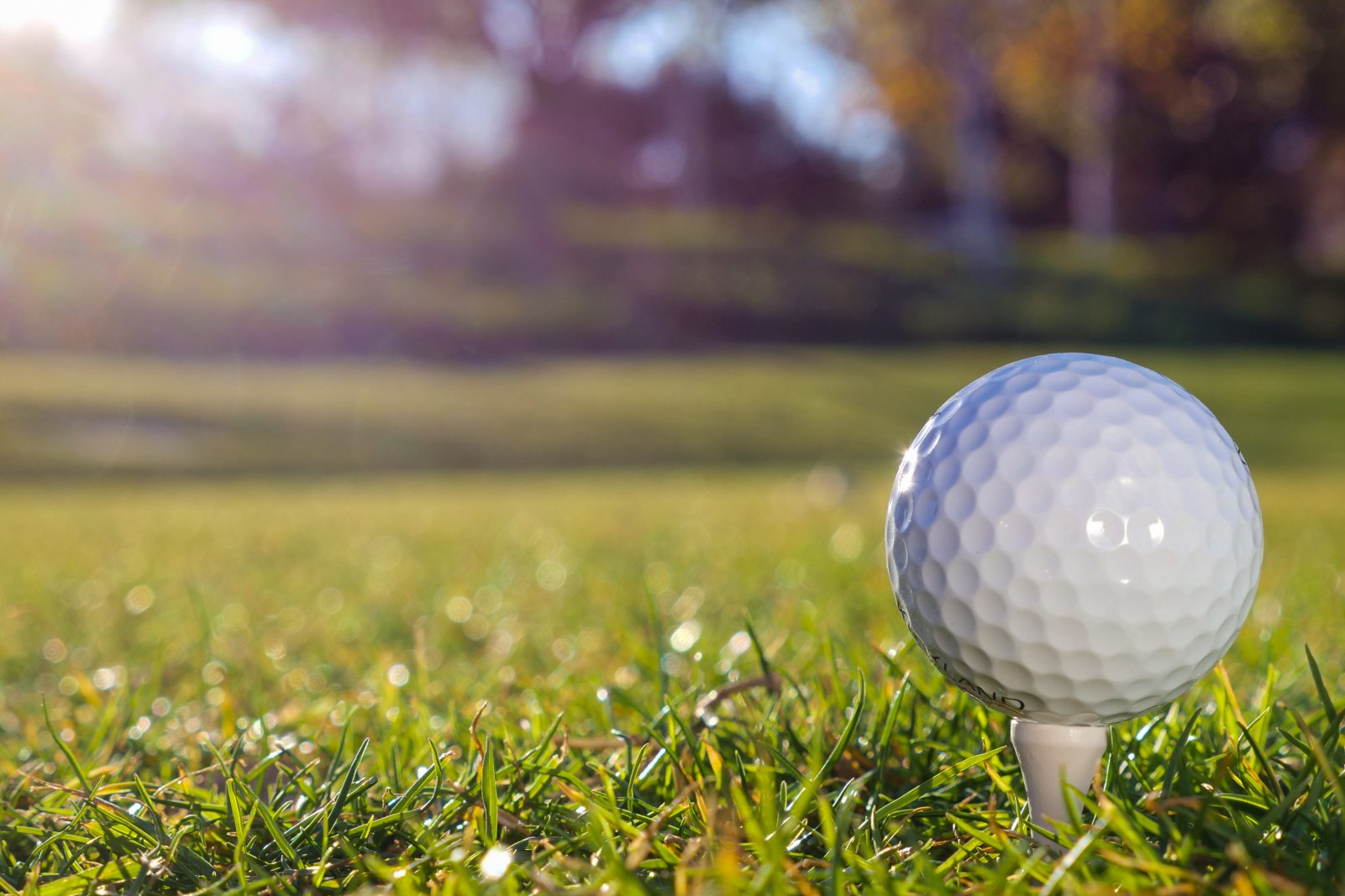Golf course