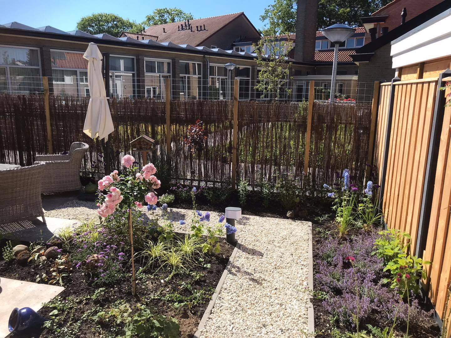 tuin, planten, grind