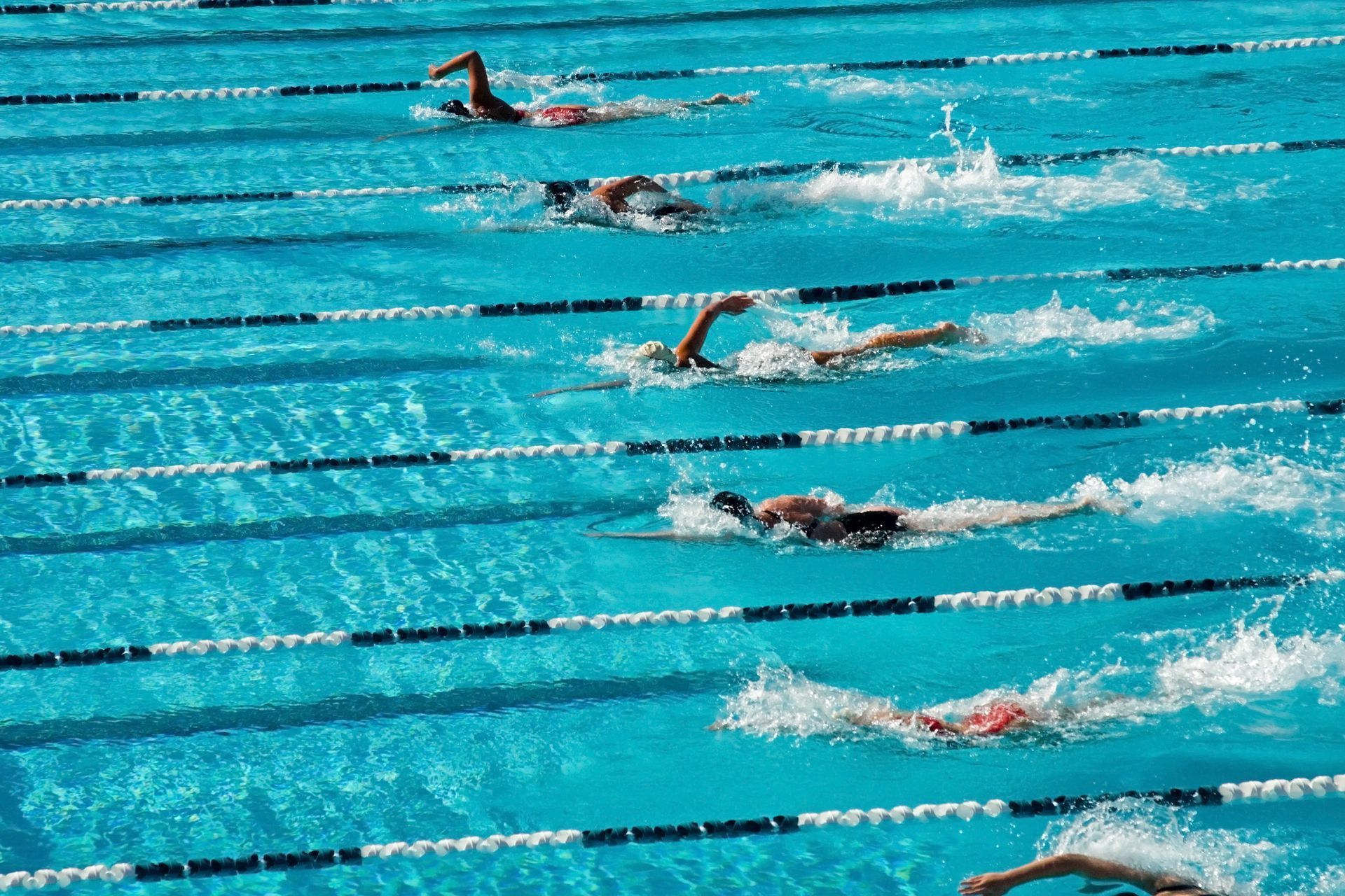Swimmers race in separate lanes, performing freestyle strokes in a competitive swimming pool.