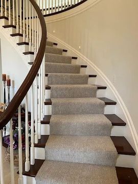 Curved carpeted staircase with dark wood handrails in a bright interior foyer