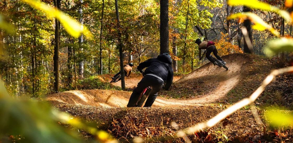 A Man Is Riding A Bike Down A Trail In The Woods — Trinity Cycle Works In Cairns City, QLD