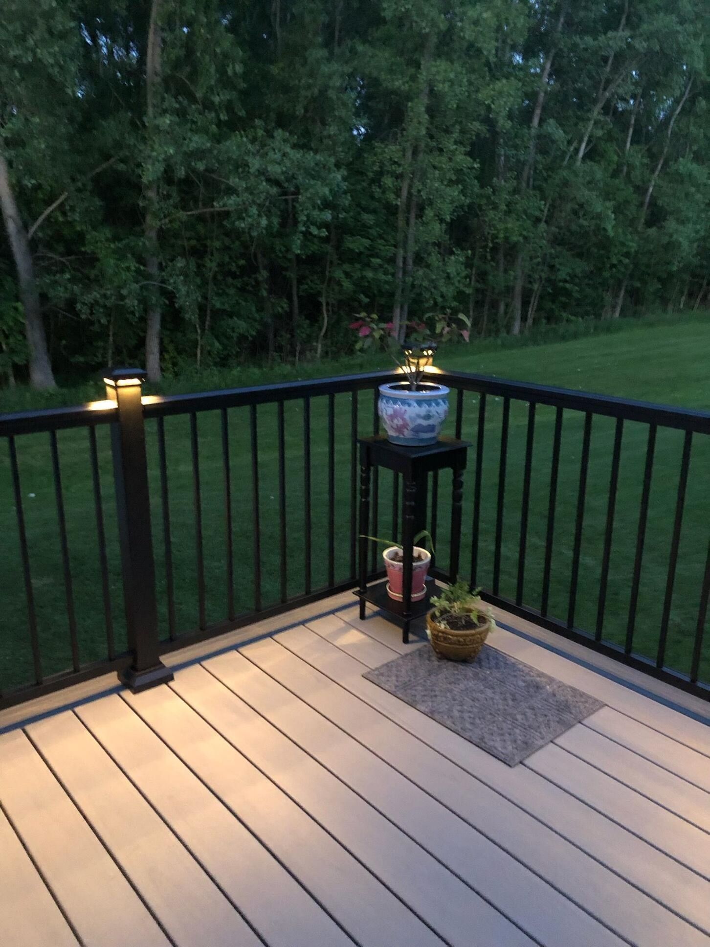 Deck corner with black railing, lit posts, plants, and a grassy backyard.