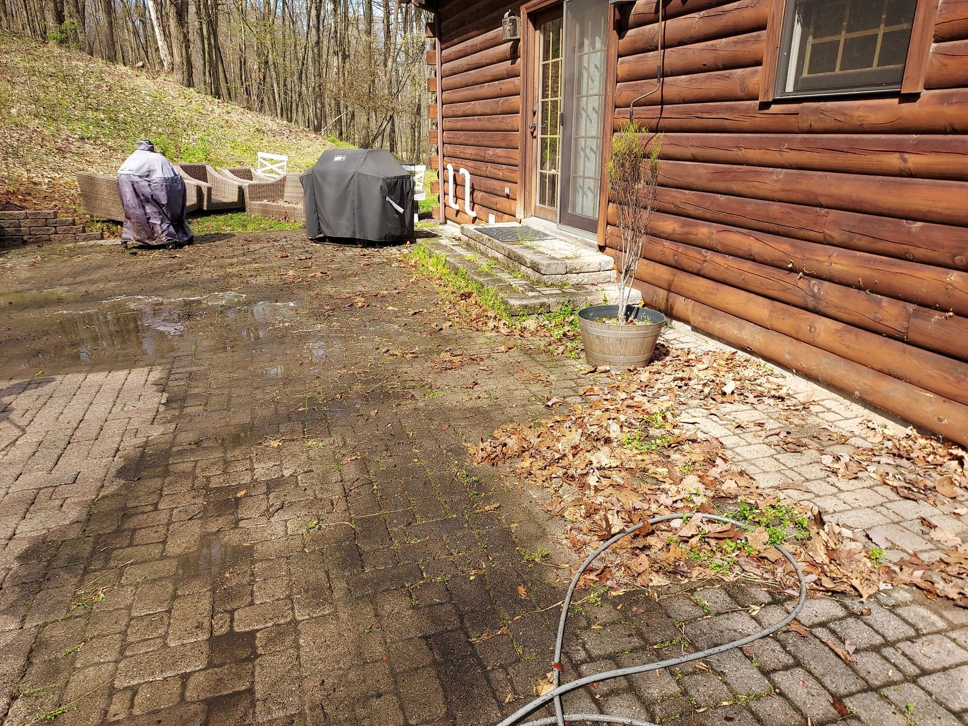 Wooden cabin exterior with leaf-covered brick path, potted plant, and covered grill in a wooded yard