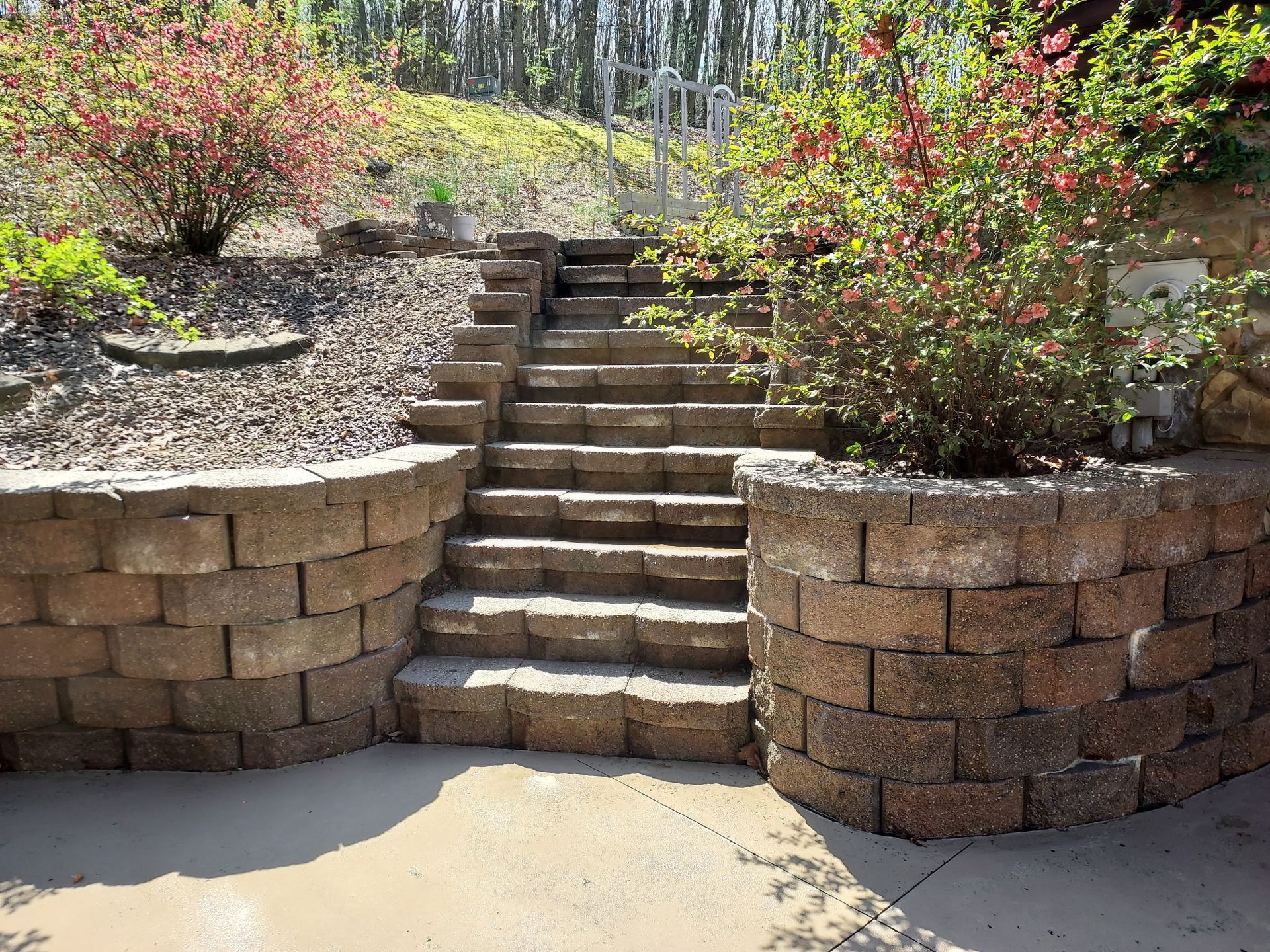 Stone steps between curved retaining walls leading up a landscaped garden path with shrubs and trees.