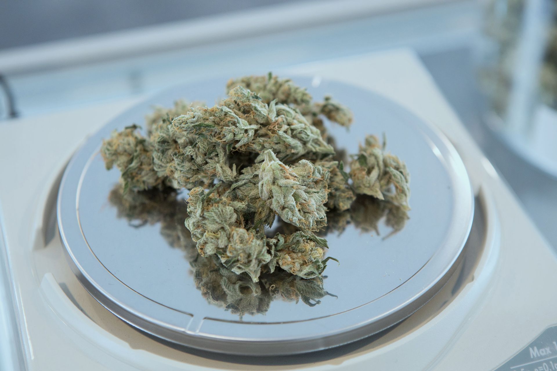 Cannabis buds on a digital scale in a lab-like setting