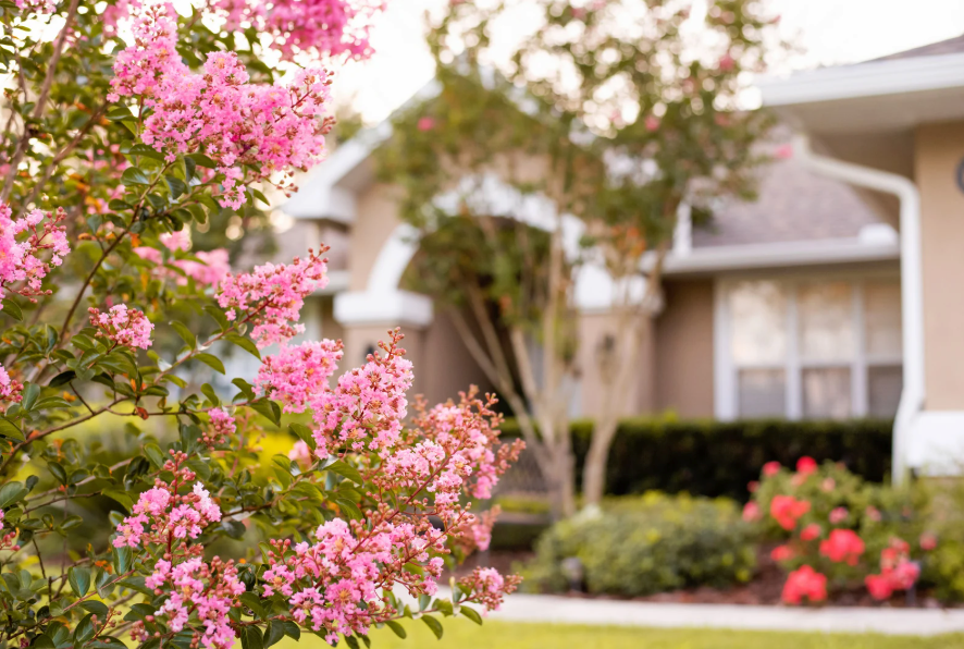 Well-maintained spring landscaping featuring flowering shrubs with a home behind them.