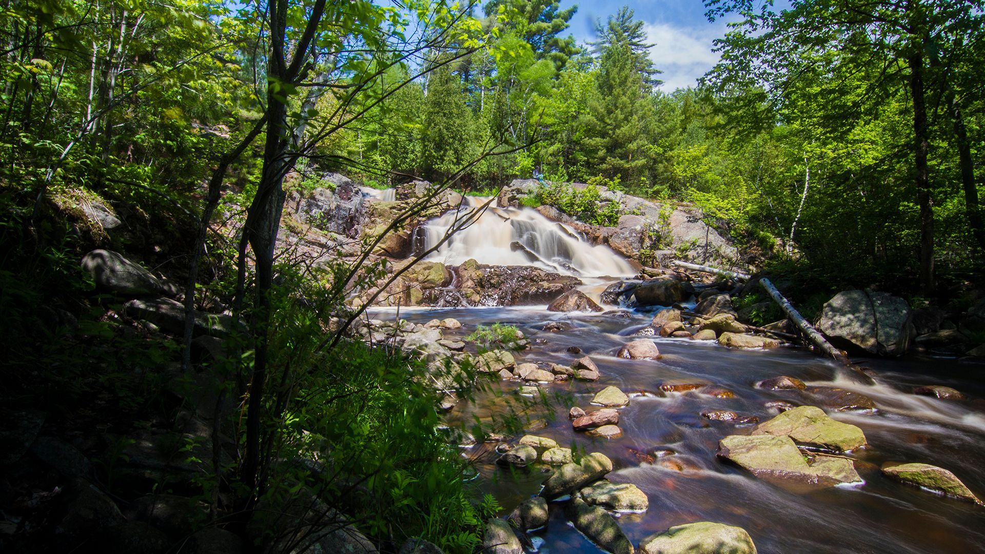 Forest stream cascades over rocks, surrounded by lush green trees.