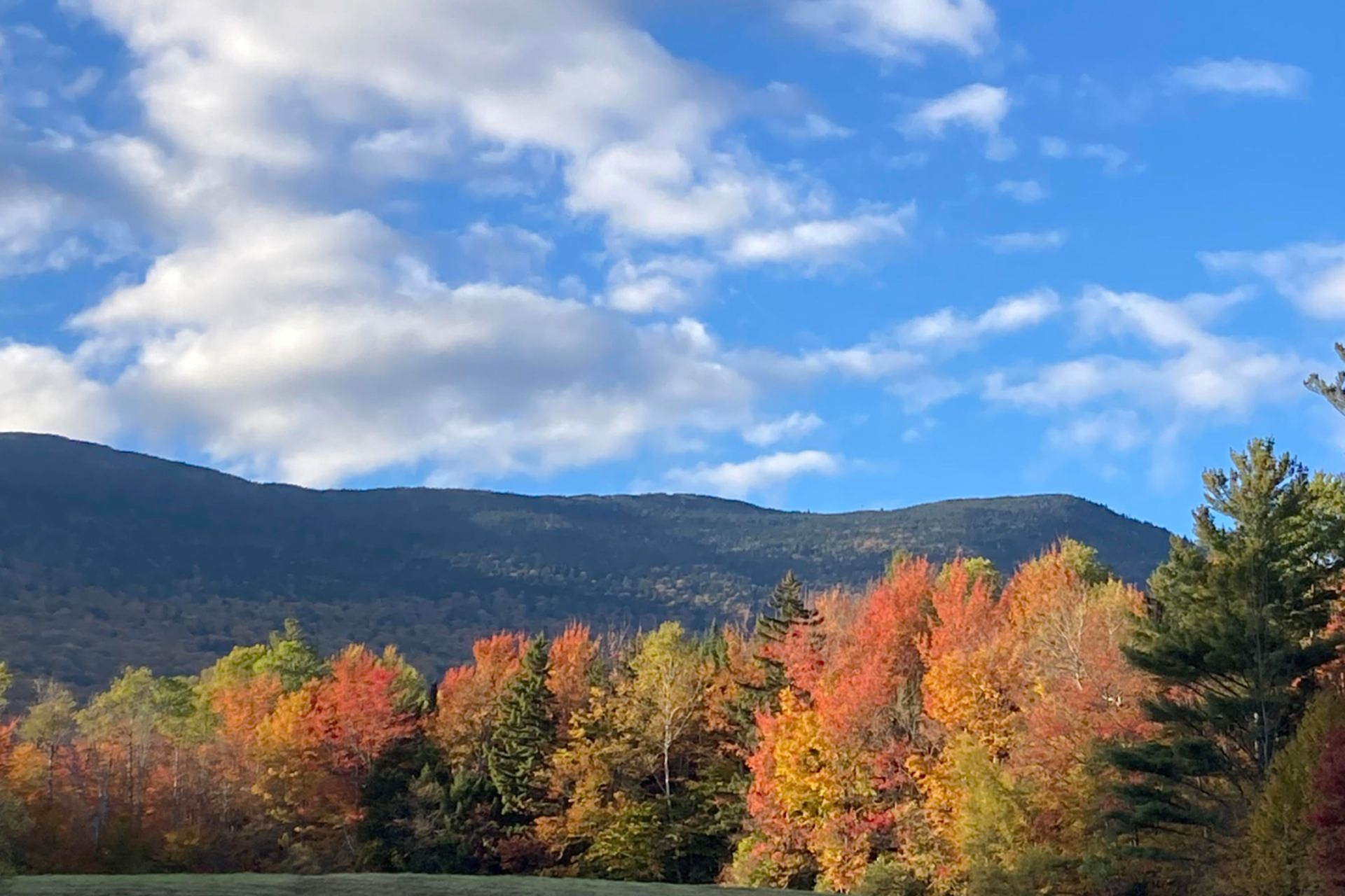 Autumn forest below a blue sky and mountain ridge, with colorful fall foliage