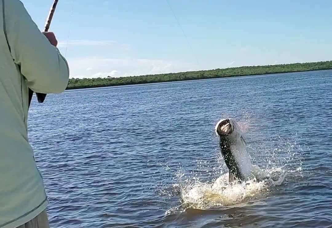 How to Fish for Tarpon in Florida