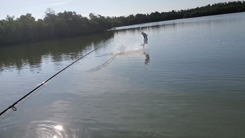 Adventure fishing in Florida
