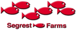 Segrest Farms logo with red fish forming the name above and beside the text