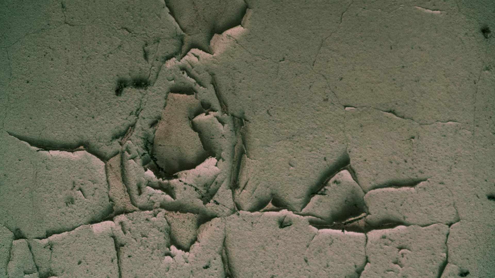 A close up of a cracked wall with a green background.