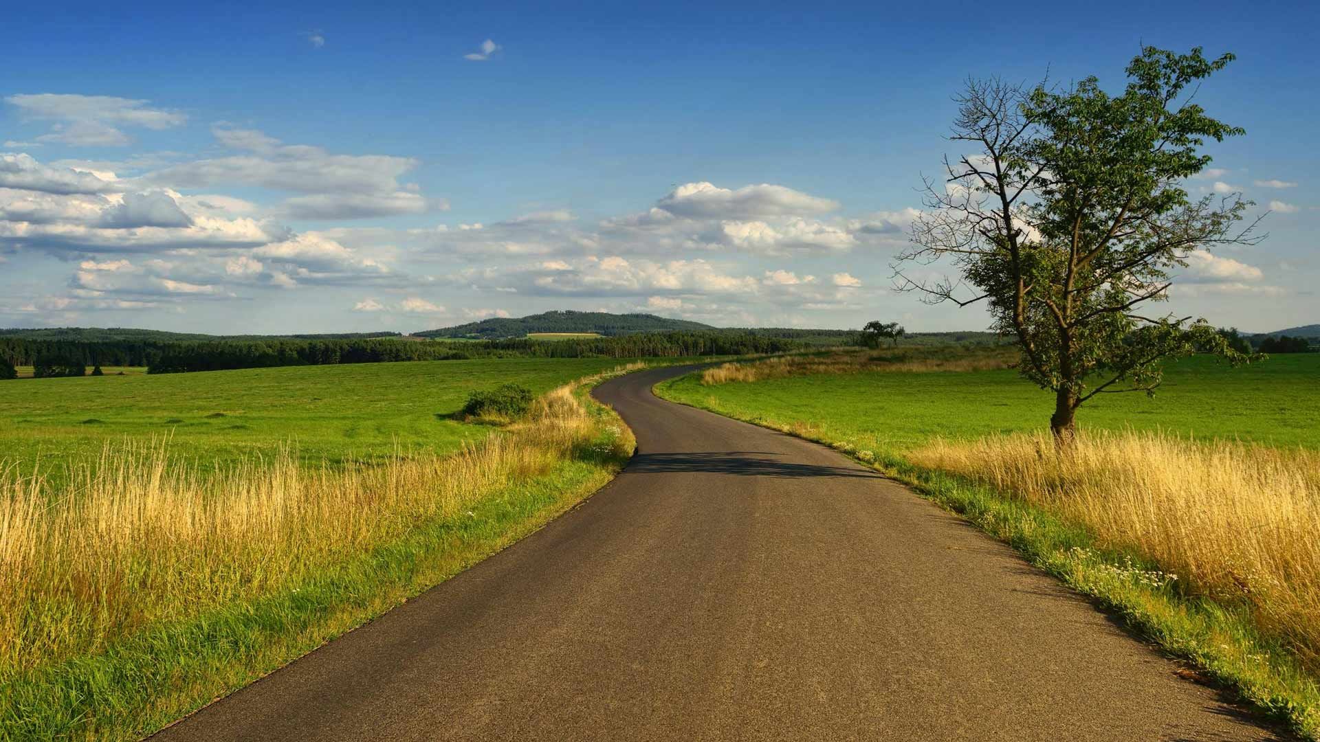 A road going through a field with a tree on the side.