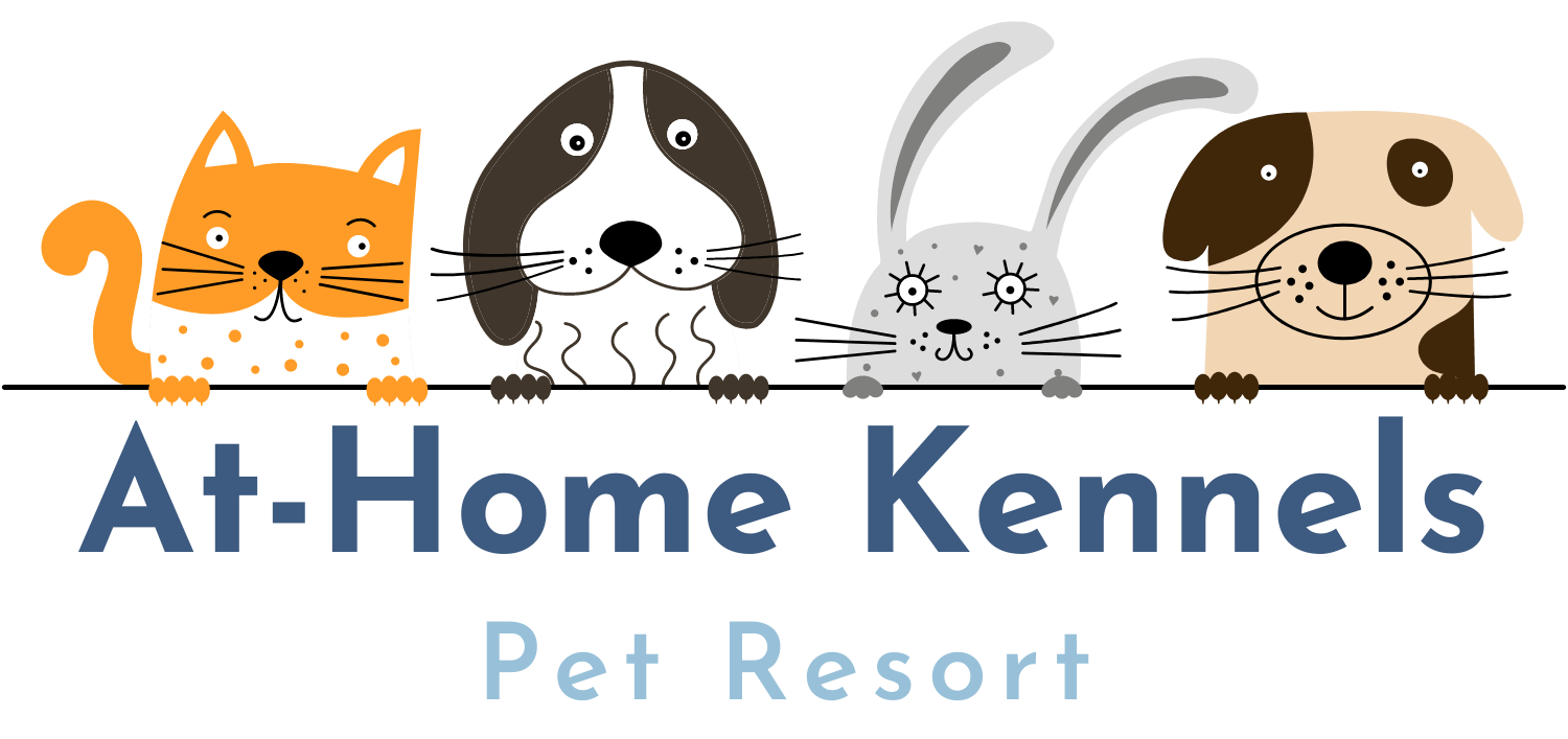 Sale home pet boarding near me Clearance