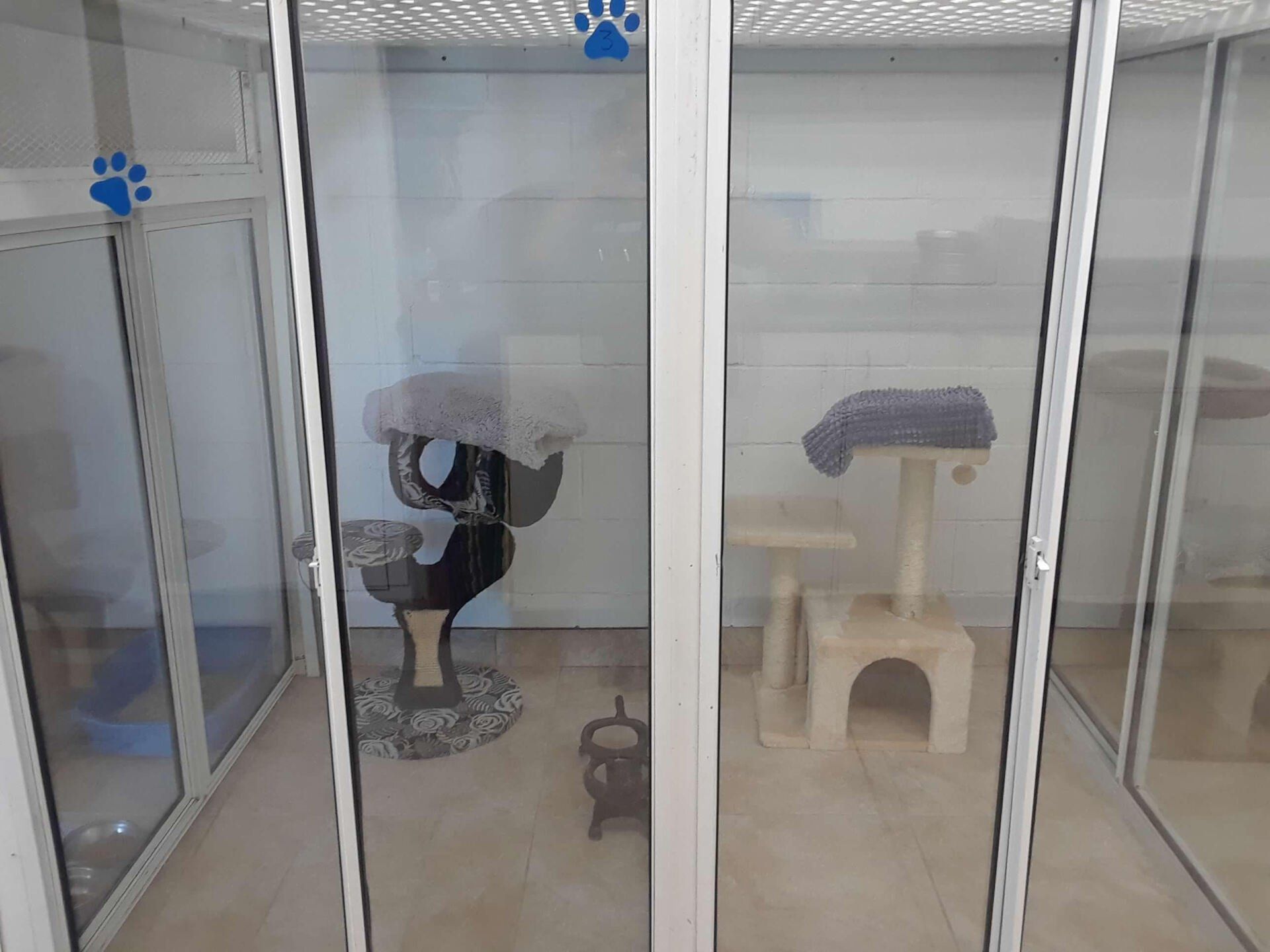Cat enclosure with glass doors; each has a cat tree, a resting place, and paw prints.