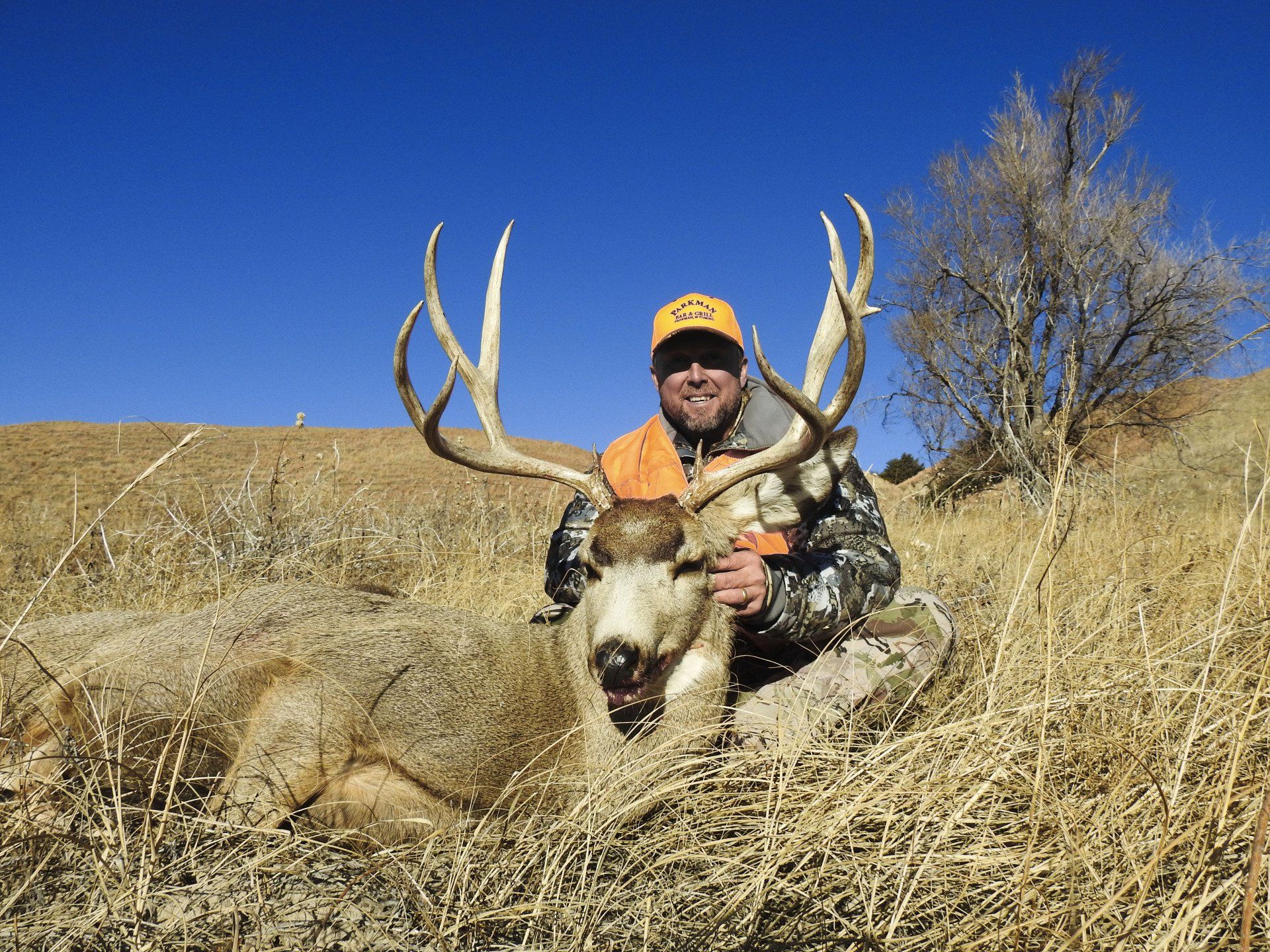 Man in camo kneels with a large buck in a field, holding the antlers. Blue sky, brown grass.