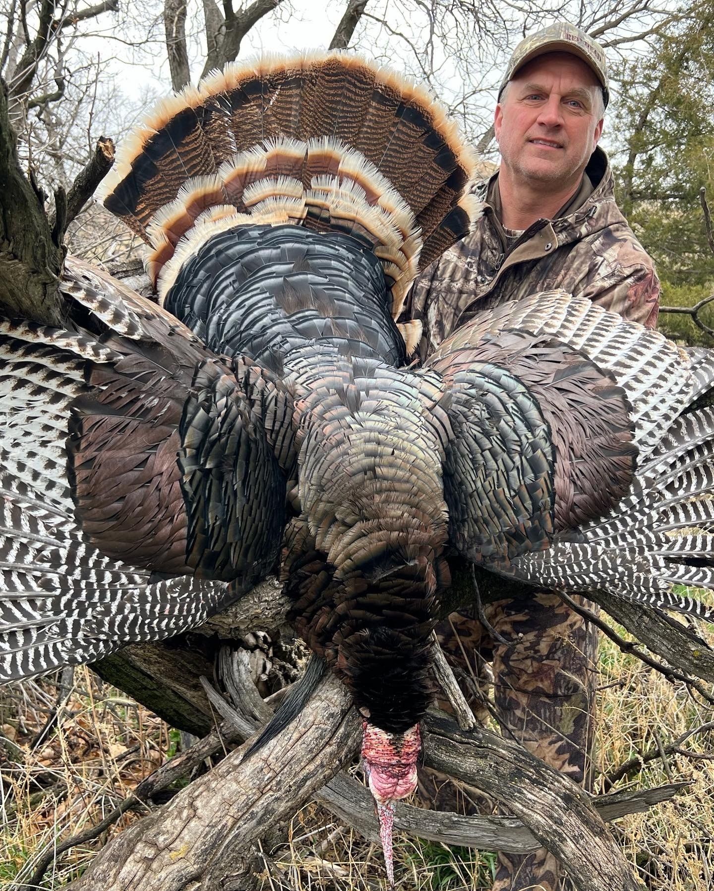 Man in camo holding a large wild turkey with spread feathers in an outdoor setting.