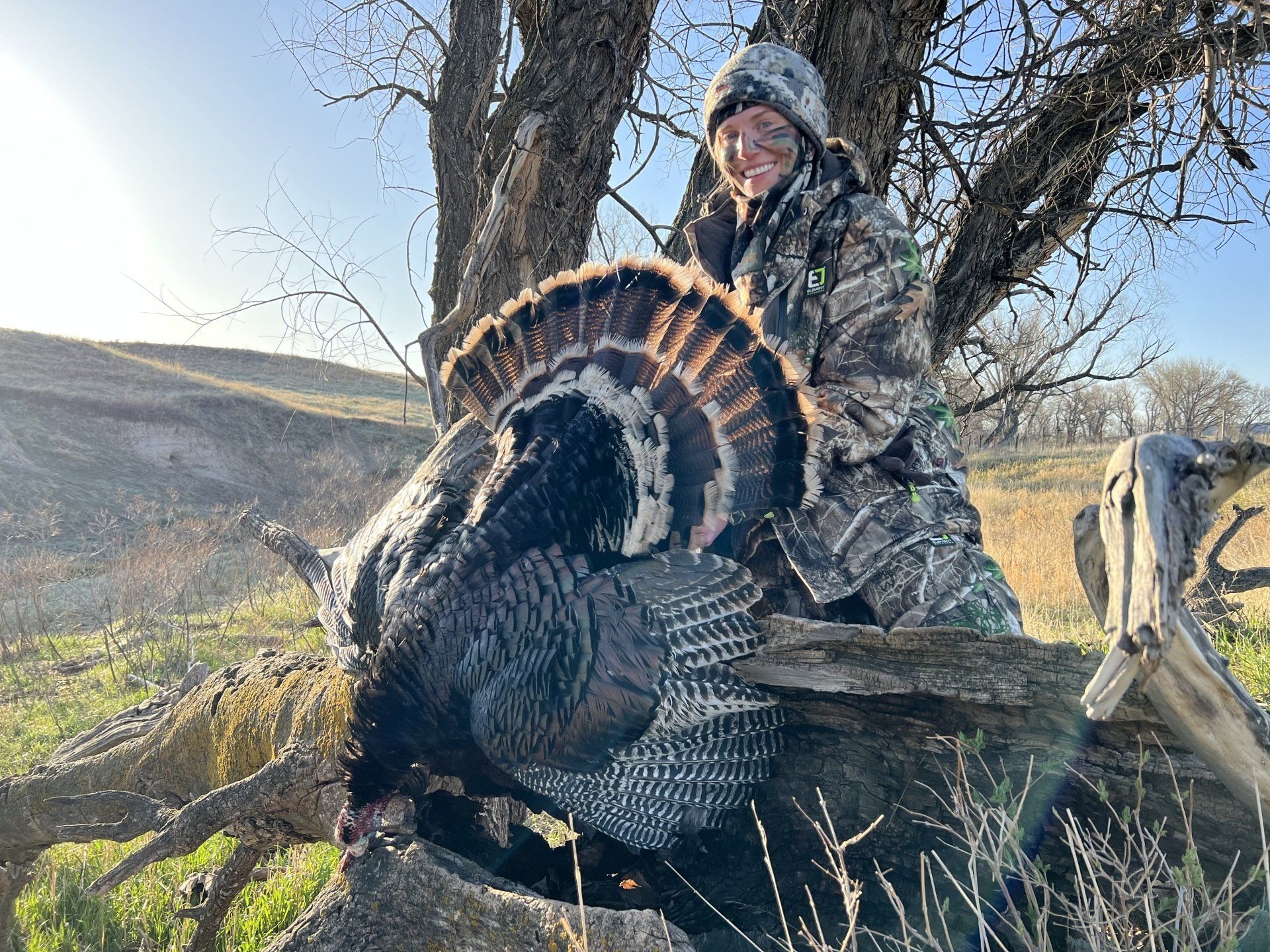 A person in camouflage kneels next to a harvested turkey in a field under a tree.