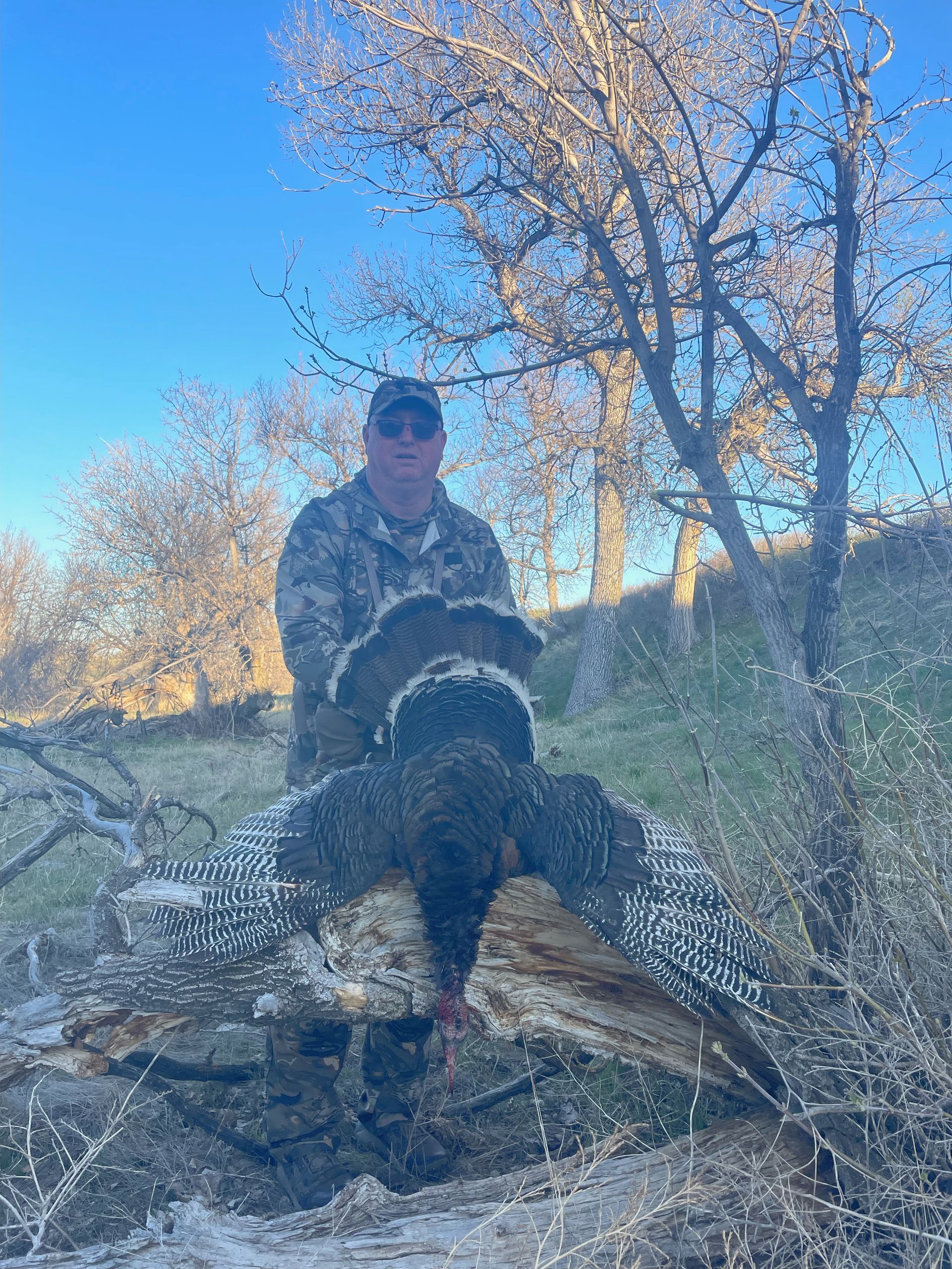 Man in camo holding a harvested turkey in a field with a tree in the background.
