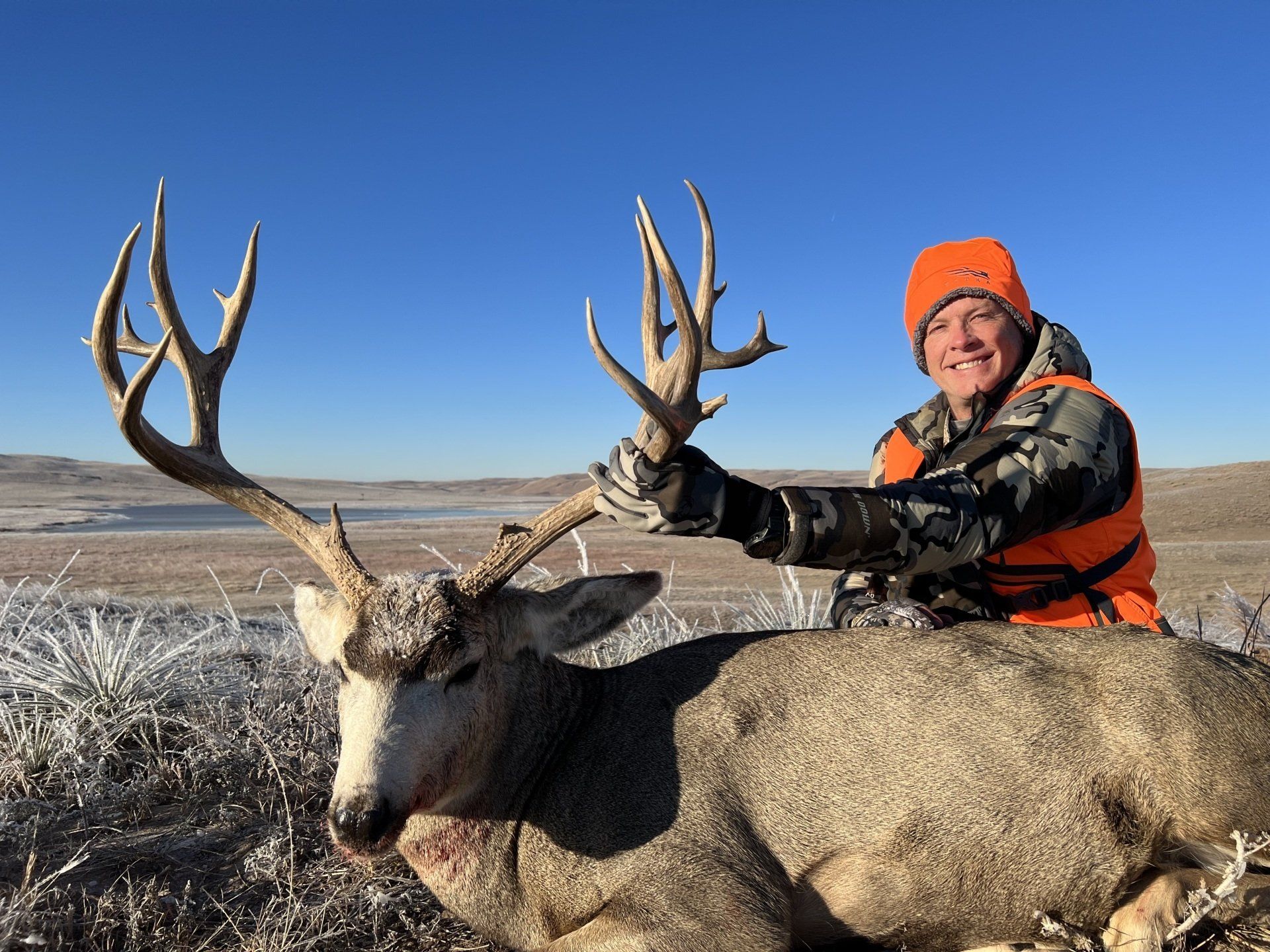 Hunter kneels with a large buck deer, holding antlers. Sunny, outdoor setting, blue sky. Hunter wears orange hat and vest.