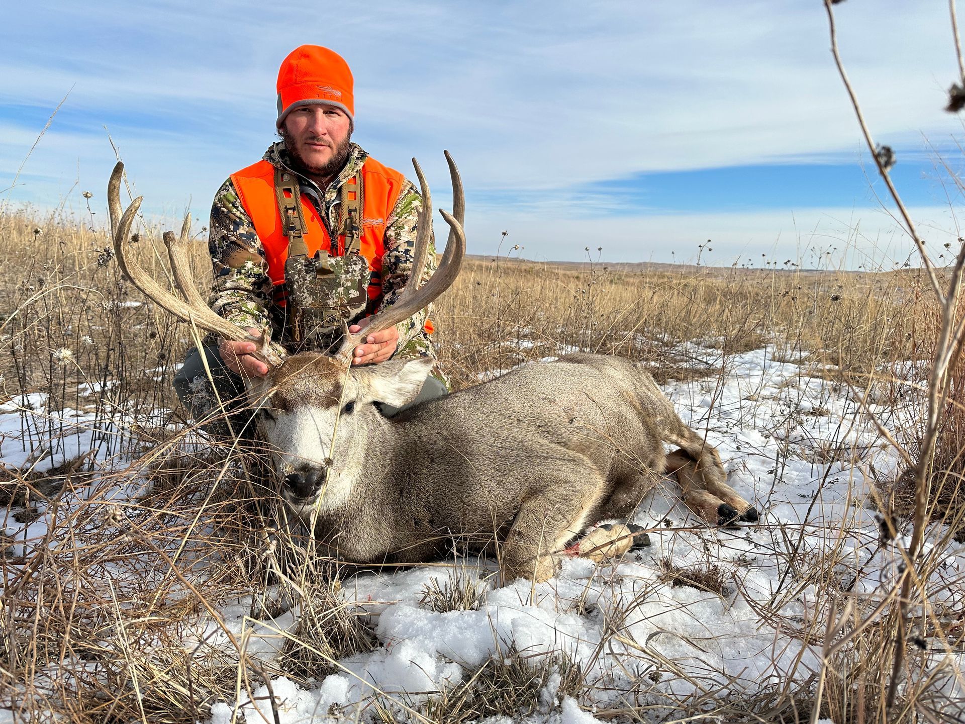 Man in orange hunting gear kneels next to a large deer in a snowy field.