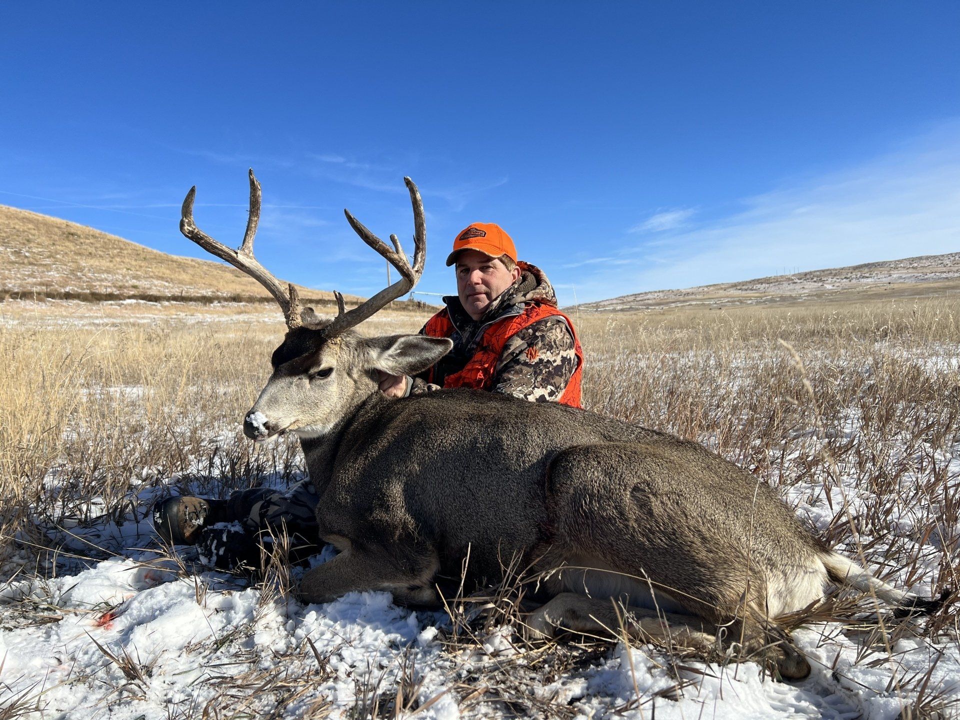Hunter with a large buck deer in a snowy field. The man wears orange, and the sky is blue.