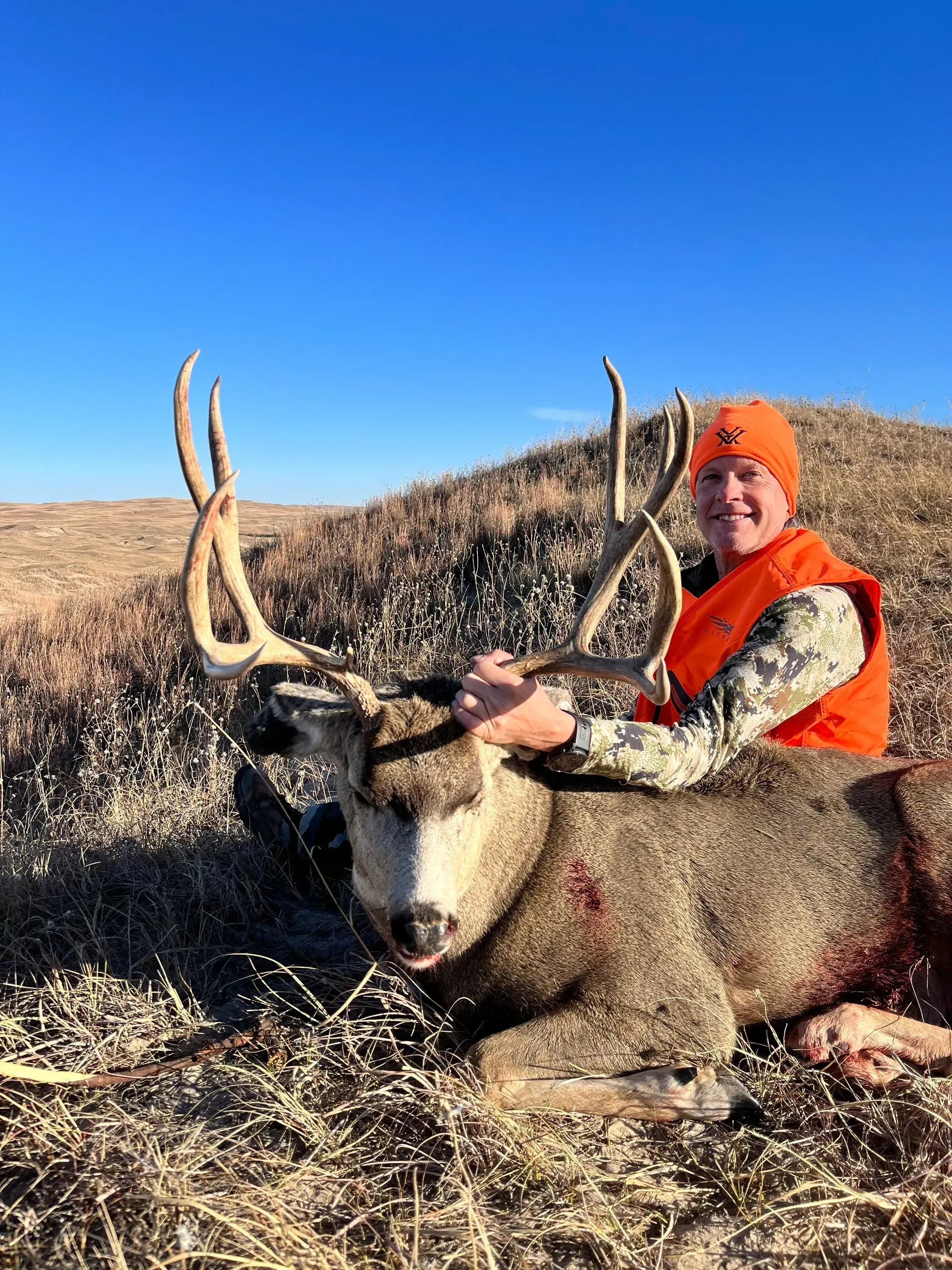 Hunter in orange vest and hat with a large buck on the ground, blue sky background.