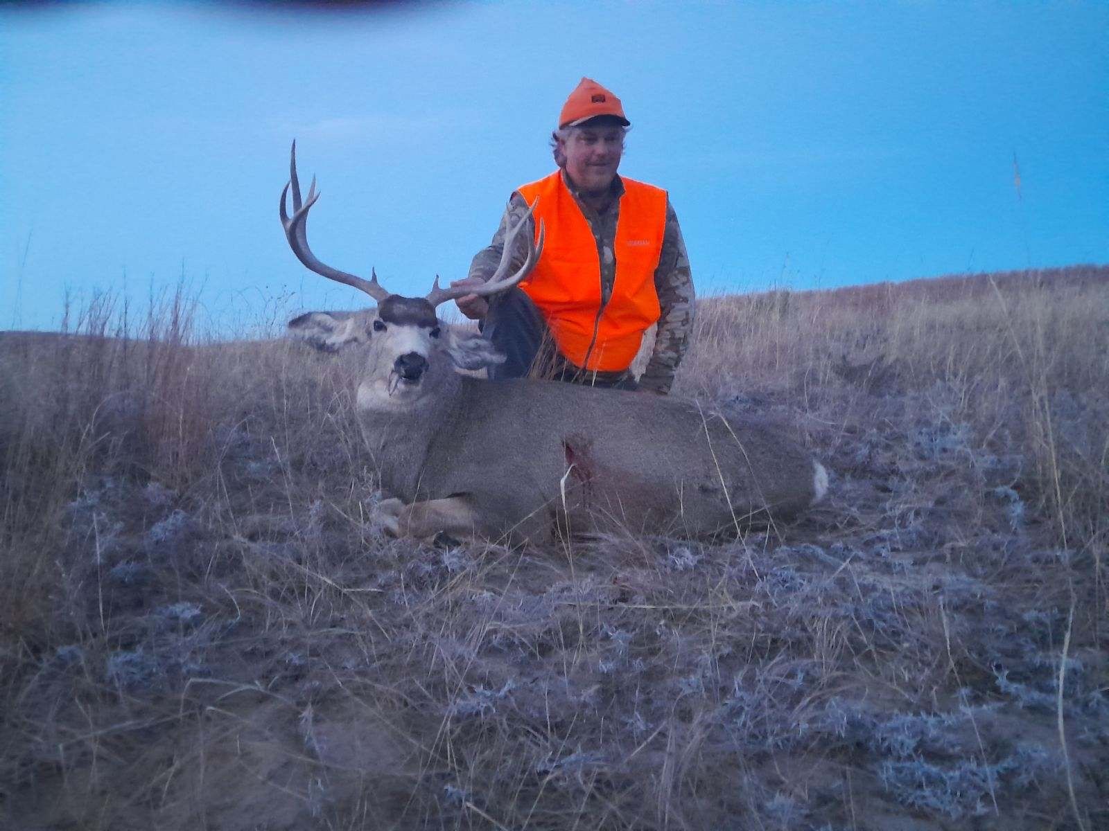 Man in orange vest kneels next to a harvested buck with large antlers in a grassy field at dusk.
